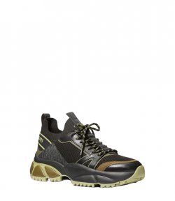 Lucas Olive Trainer