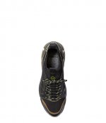 Lucas Olive Trainer