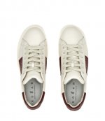 H-Stripes Allacciato Fascia Bordaux Logo Q44 Cream Sneaker